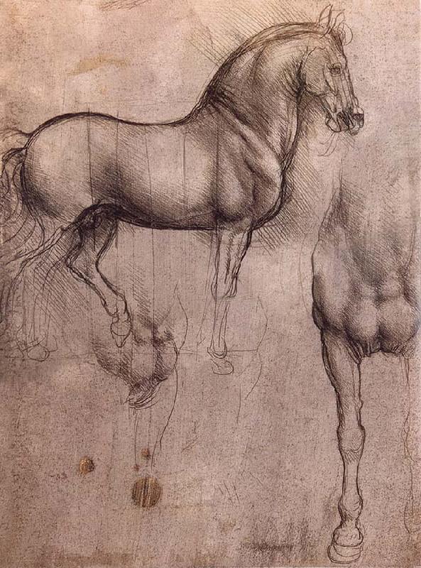 LEONARDO da Vinci Studies of horses oil painting picture